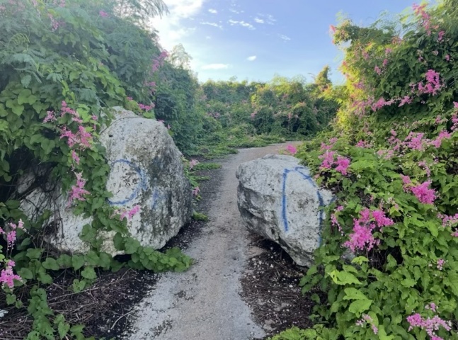 オカポイントの入り口はきれいです。