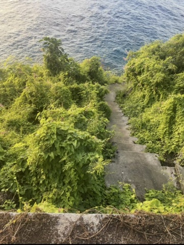 オカポイントから釣り場まで下る階段です