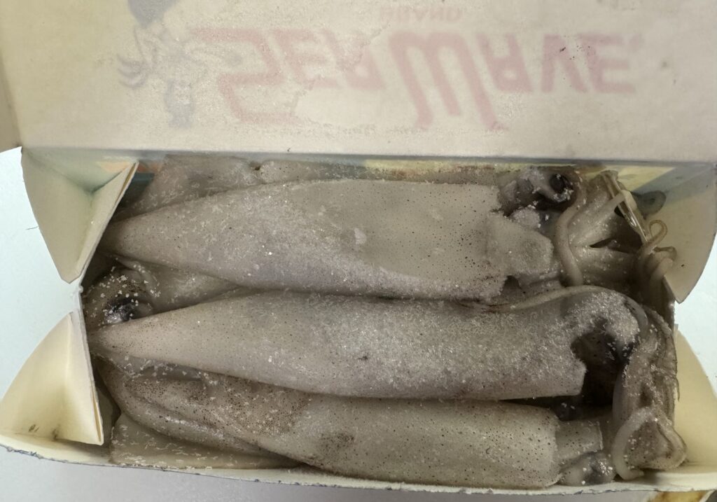 地元の人に教えてもらった餌に使うイカ