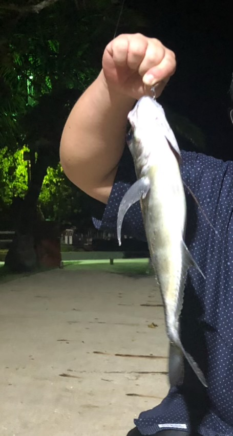 友人の一人が釣っていた魚。GT。30㎝くらいの大きさの大物です。