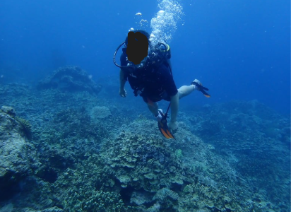 タモンの海からエントリーしたときの様子。