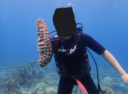 グアムの海で見つけたナマコ。男3人でテンションが上がりました(笑)。