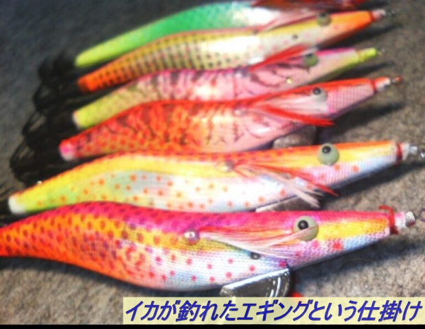 エギングでイカを狙う事ができます。