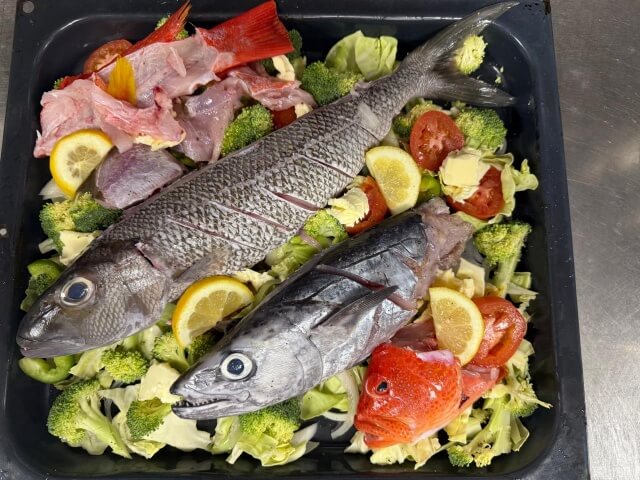 蒸す前のイソマグロ（ドッグツナ）