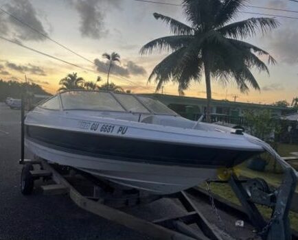 同僚が所有するボートです。