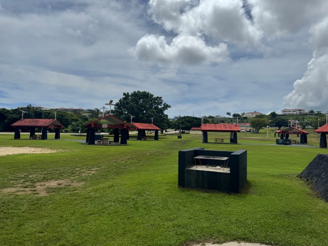 青い海を背景に写真を撮ろうとスマホを構えた、その瞬間です。