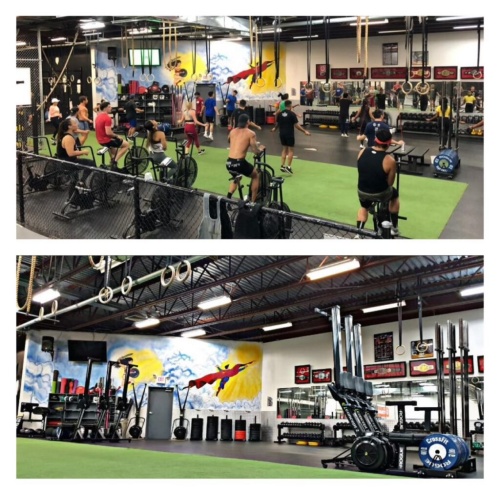 Facility view of Steel Athletics (images from the web).