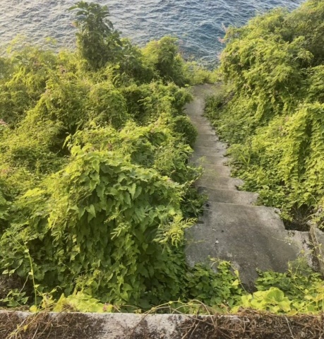 オカポイントから釣り場まで下る階段です