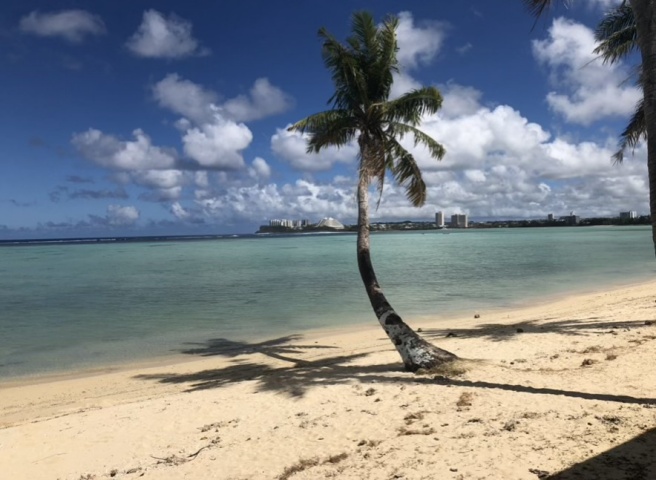 TUREcafeからの眺め