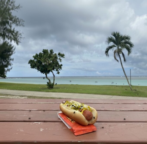 イパオビーチでホットドッグを食べたらハエがたかってきた様子。